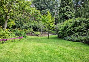 Optimiser l'expérience du jardin à Saint-Sulpice-d'Arnoult